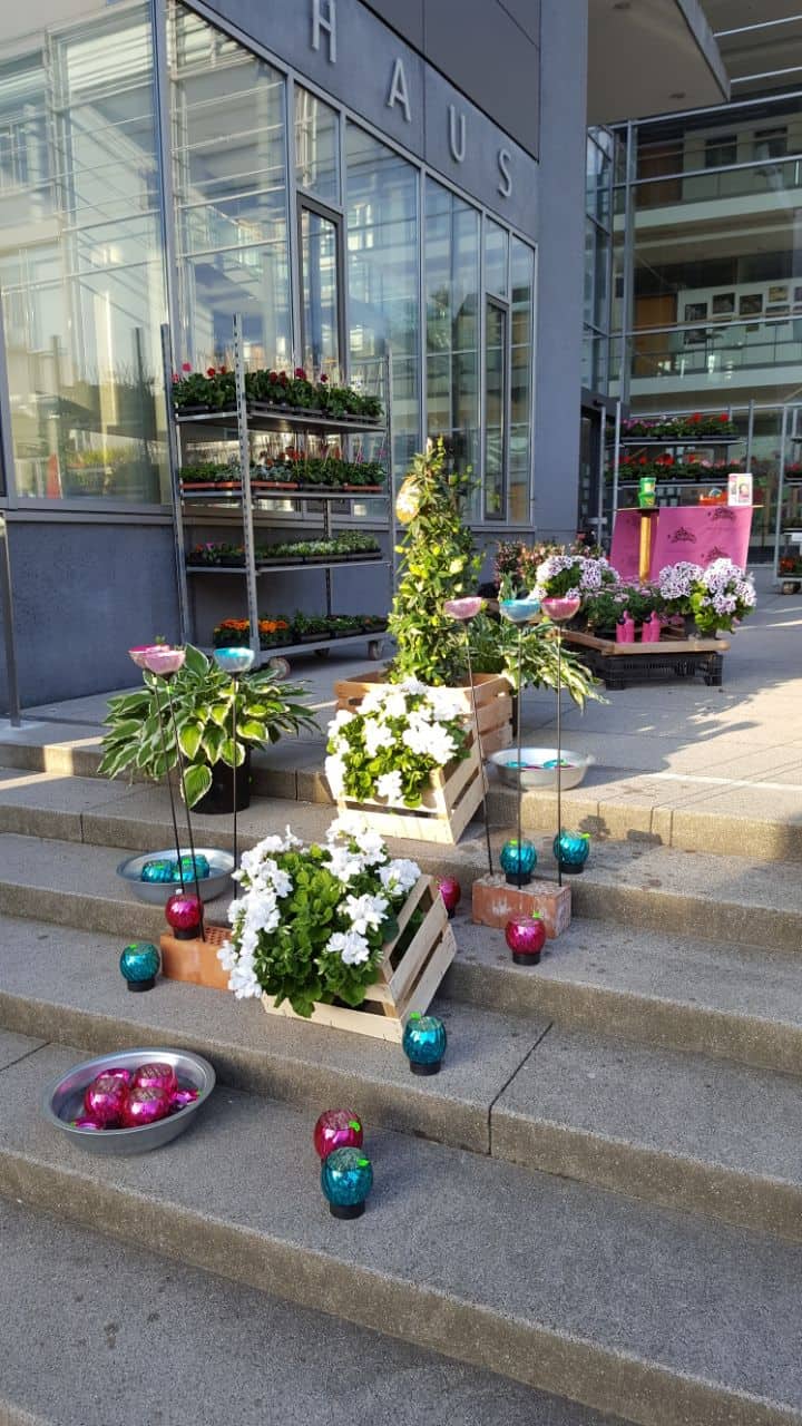 Altensteiger Blumenmarkt 2017 Blumen-Luz (1)