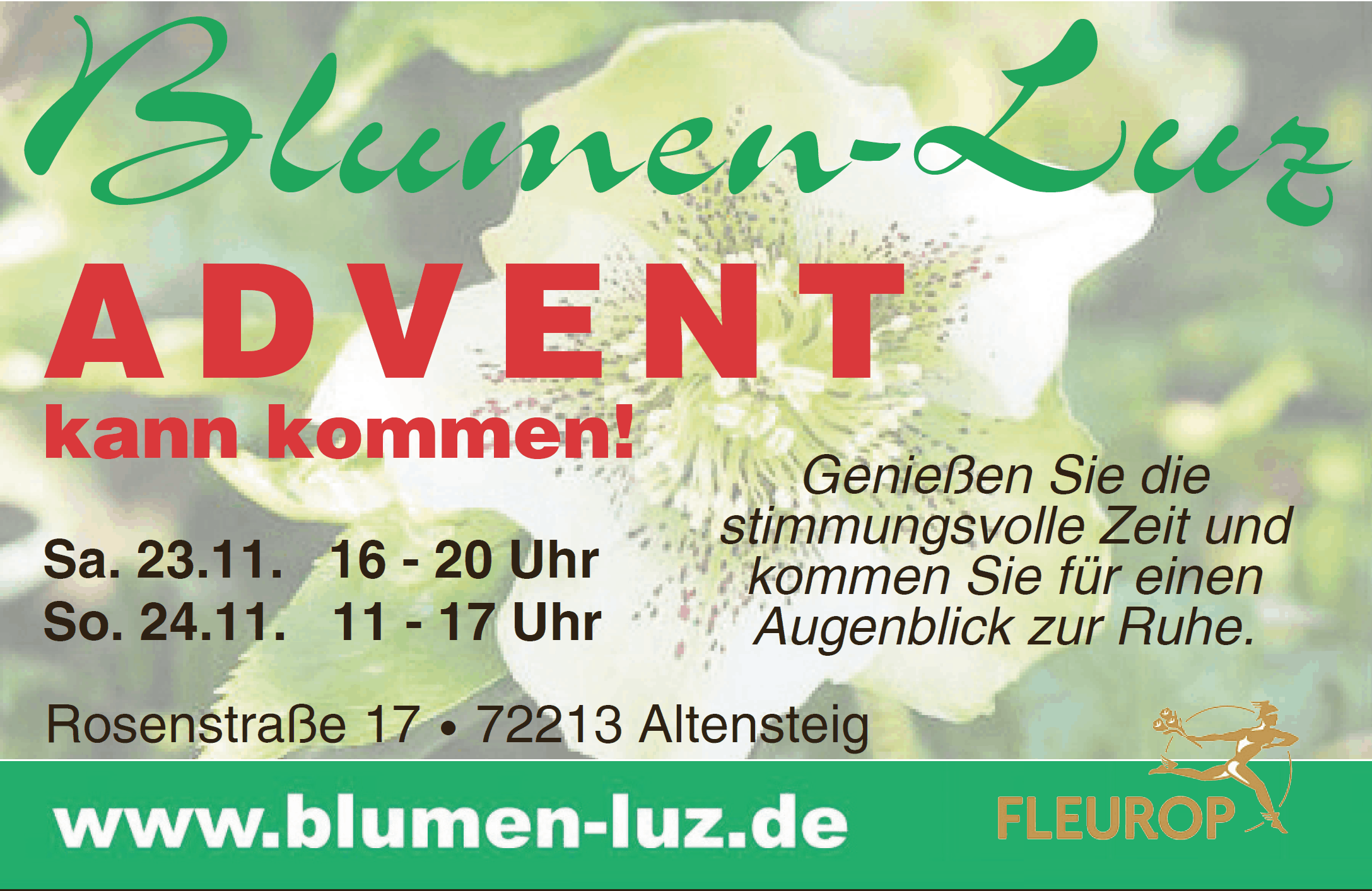 Unser Advent 2019 Blumen-Luz Altensteig